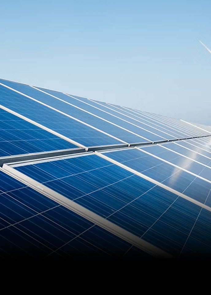 Sustainability image