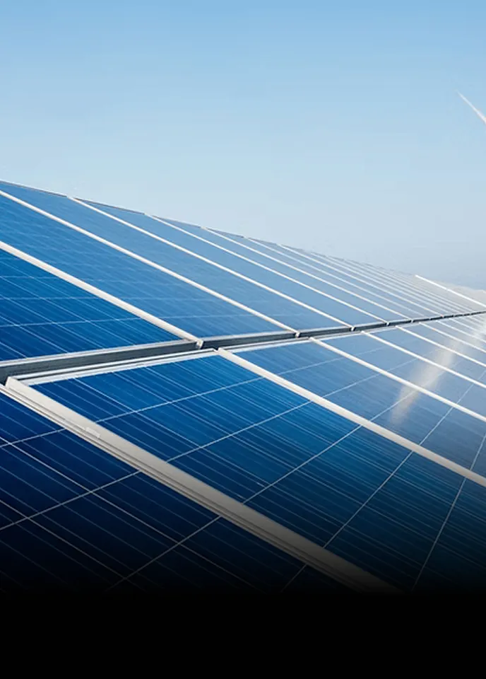 Sustainability image